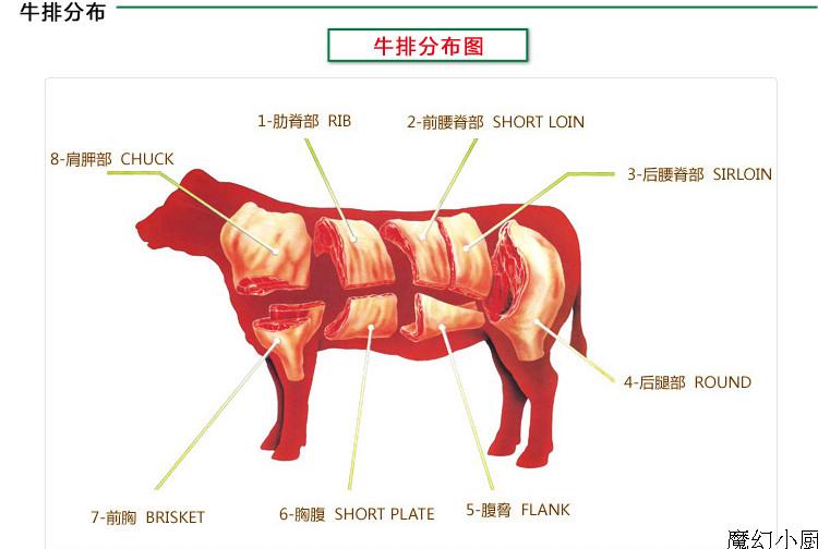 TB2aFAUXVXXXXbEXXXXXXXXXXXX-697205767.jp