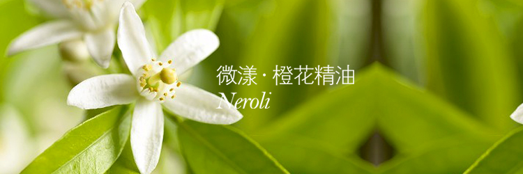 TB2G2k9dXXXXXbaXXXXXXXXXXXX_!!177433481.