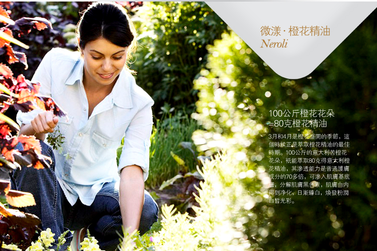 TB2VgA7dXXXXXbHXXXXXXXXXXXX_!!177433481.