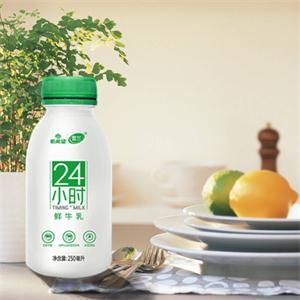 【大学生专享】新希望雪兰牛奶雪兰24小时鲜牛乳250ml