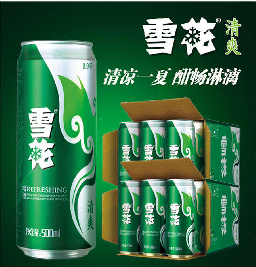 酒水雪花啤酒清爽8度500ml12听