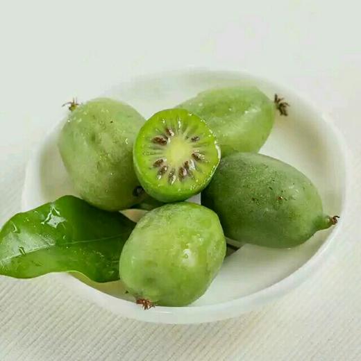 奇异莓奇异莓又叫软枣奇异果营养丰富个头小小的口感软甜比较新奇的