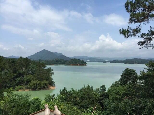 广州流溪湖庐一座藏在山林中的水晶屋