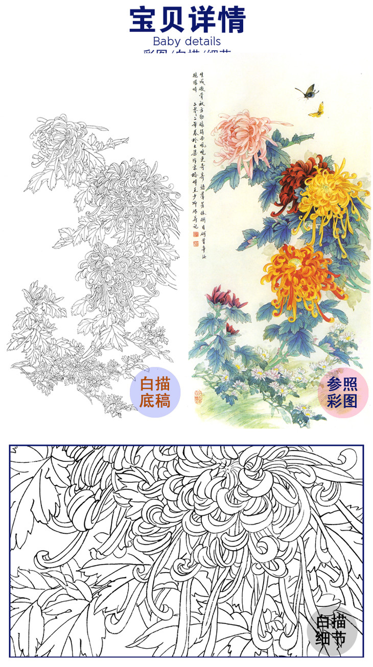 白描底稿王少卿工笔竖幅四尺六尺花鸟菊花a106