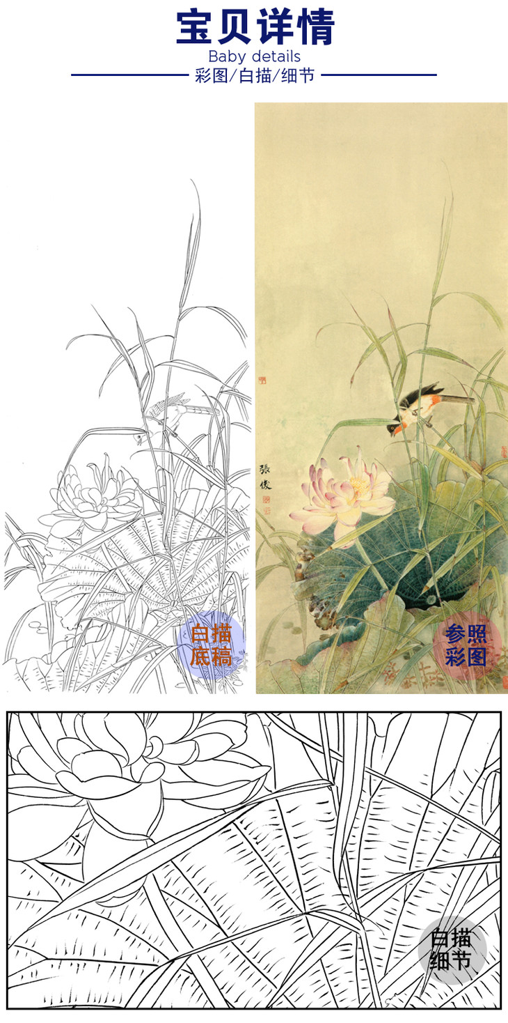 竖幅工笔花鸟白描底稿荷花a108