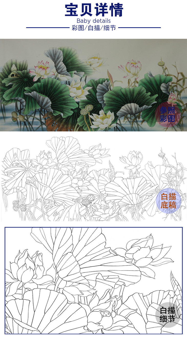 白描底稿工笔横幅四尺六尺花鸟荷花a161