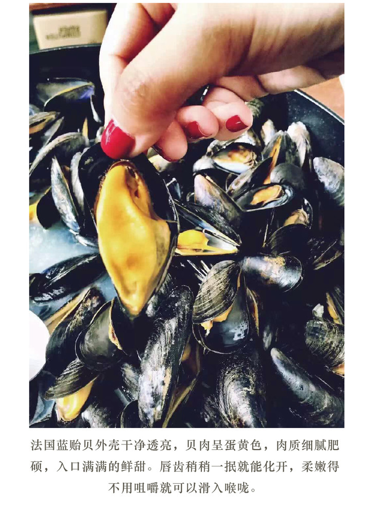 【预订】空运进口 法国活蓝贻贝 blue mussel 圣米歇尔蓝口