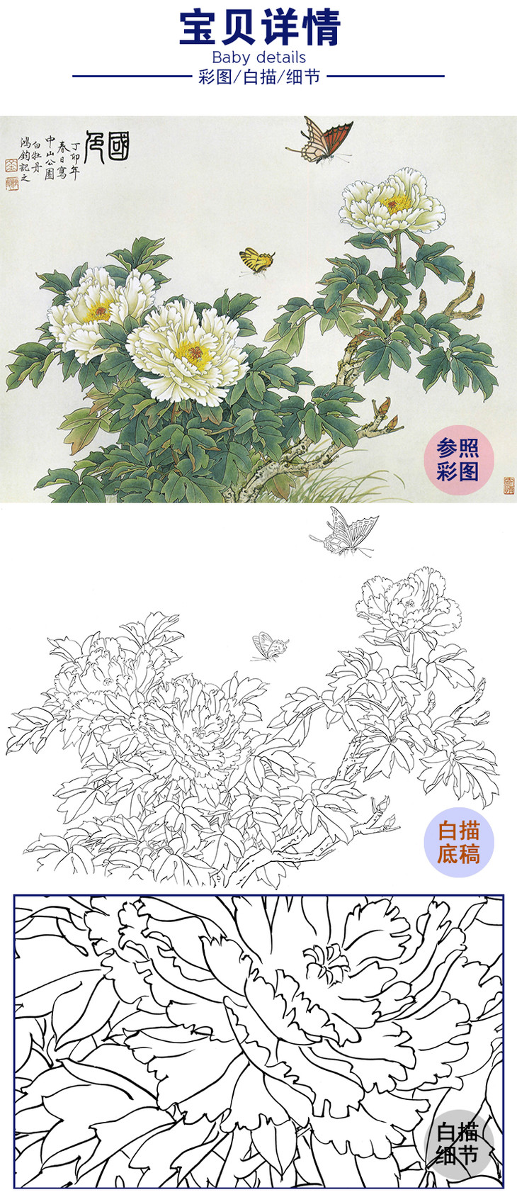 工笔花鸟白描底稿-金鸿钧-牡丹《国色》斗方小品册页-a198 桔舍