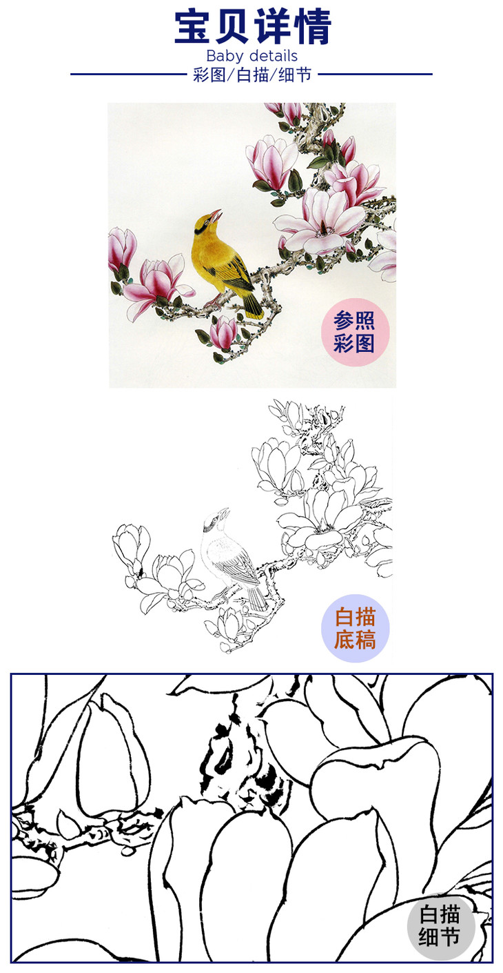 工笔花鸟白描底稿玉兰花黄鹂斗方小品册页a298