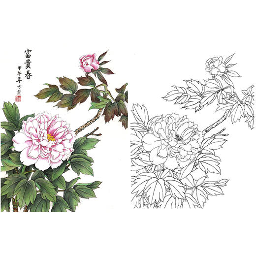 工笔花鸟白描底稿牡丹斗方小品册页a300