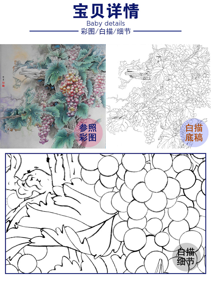 工笔花鸟白描底稿孙锡之葡萄斗方小品册页a446
