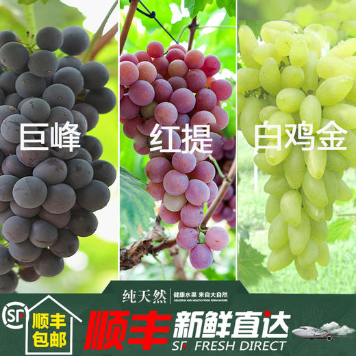 【奖品专拍】 新鲜水果 夏黑葡萄白鸡心青提巨峰葡萄红提无籽葡萄 4斤