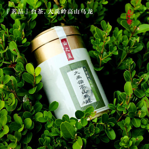 『茗品』台茶.大禹岭高山乌龙