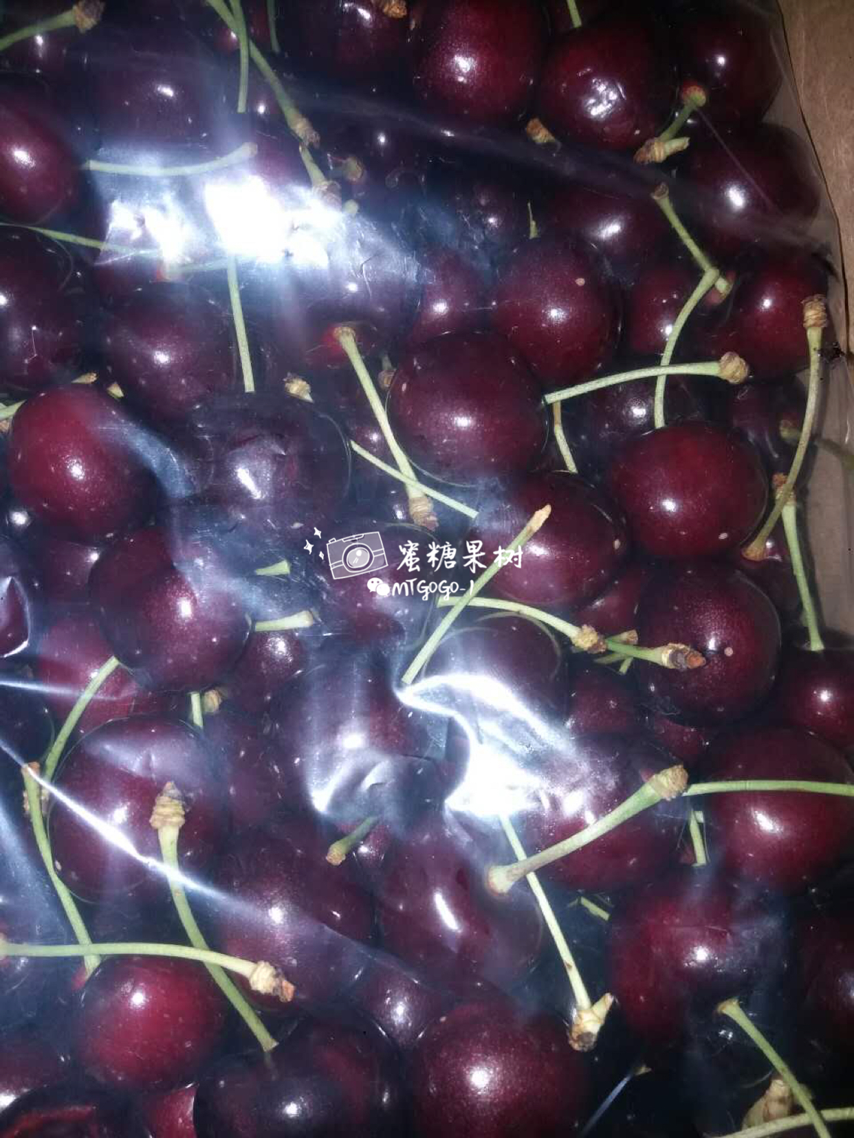 第一批寻寻觅觅终得圆满又大又脆有脆又甜