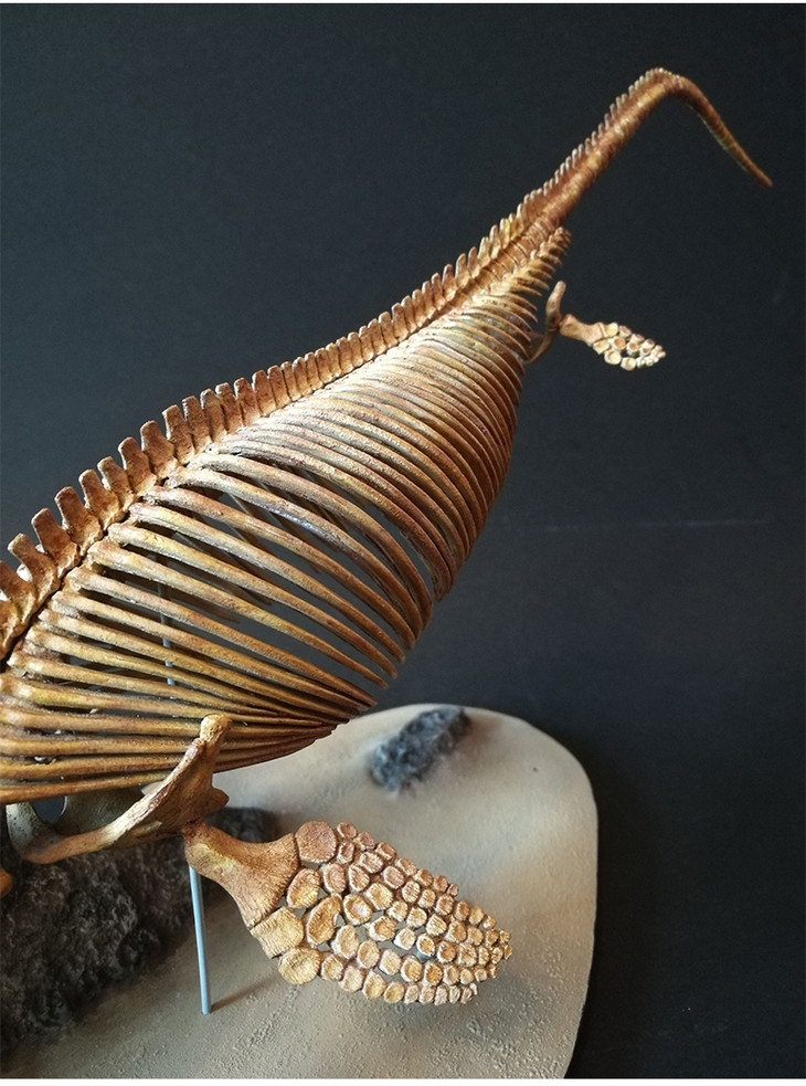定制鱼龙恐龙骨架捕食场景树脂模型菊石制造