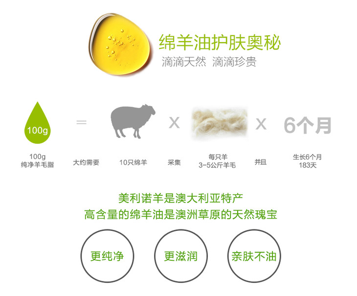 gm澳芝曼绵羊油面霜250g