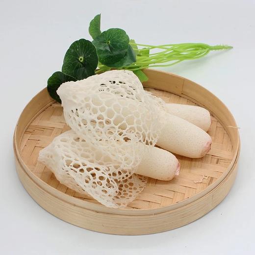 云南新鲜竹荪菌中皇后特级竹荪菌煲汤好菌250500g