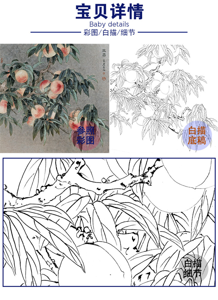 工笔花鸟白描底稿桃子王庆升益寿斗方小品册页多种白描尺寸可选qb03