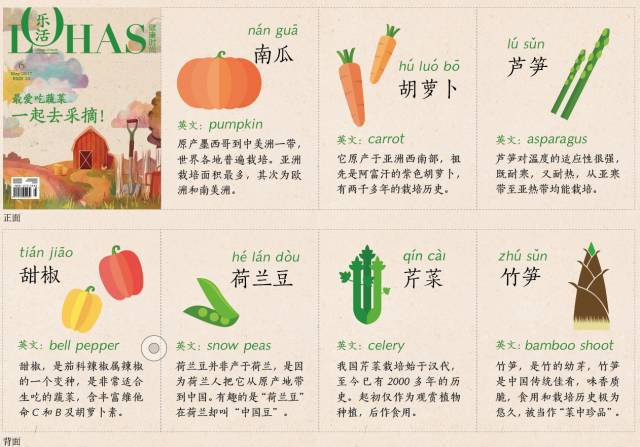 乐活之选创意蔬菜手工折纸包升级款让宝宝爱上蔬菜