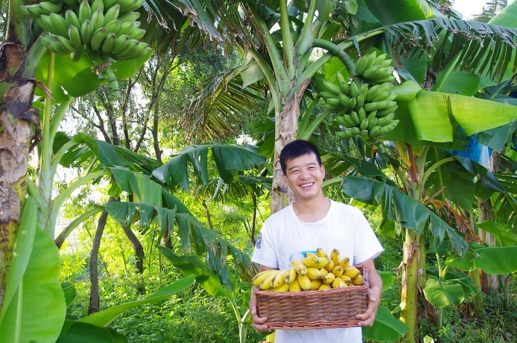 绿家自产 | 老实芭蕉干巴巴团购