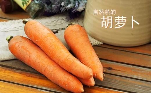 禾春元食品禾春元生态蔬菜胡萝卜2根约500g林晓晴的菜零售价700元500g