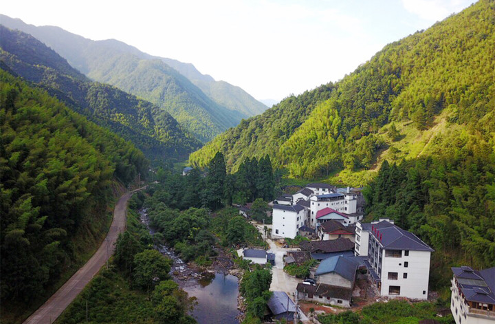 湖畔问山秋日下午茶感受来自桐木关大山的味道