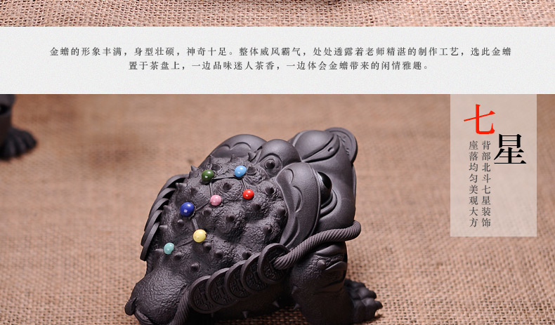 灵气招财金蟾蜍 纯手工创意个性功夫茶具 万人领养