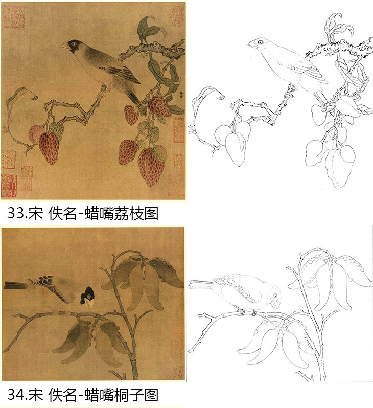 宋画花鸟小品白描底稿40幅-db70
