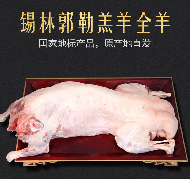 蒙羊羊全羊内蒙古直发苏尼特羊肉馈赠亲友送礼佳品25斤顺丰包邮