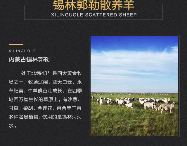 蒙羊羊全羊内蒙古直发苏尼特羊肉馈赠亲友送礼佳品25斤顺丰包邮