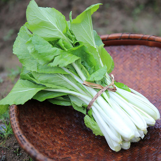 水白菜杆400g