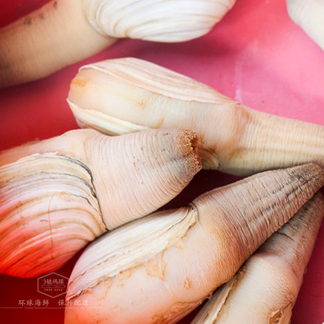 【鲜活】加拿大象拔蚌 99元/250g 海鲜水产刺身食材