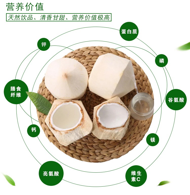 海南椰青海南椰子