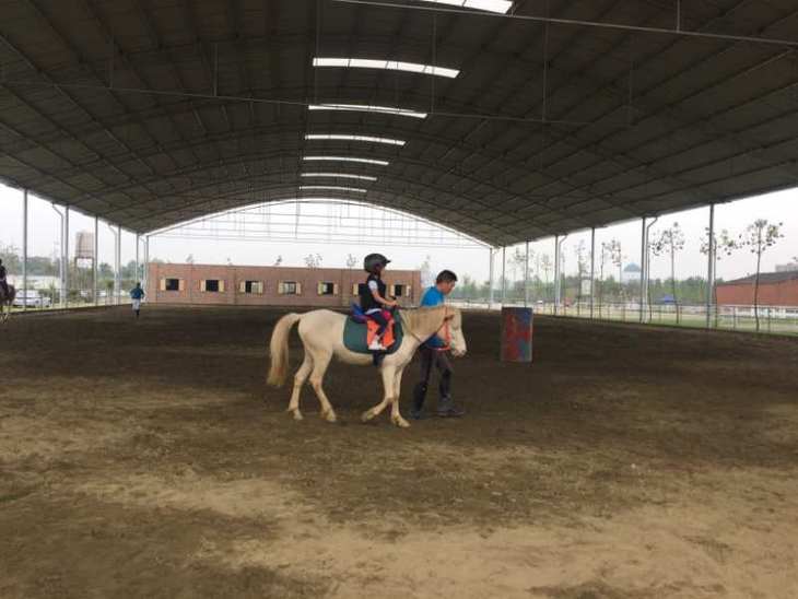 若错过预约时间,则需服从马场的安排,等待排课.