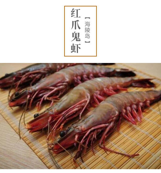 【极品】红爪鬼虾丨大个头,肉蟹的口感, 享受一只虾就饱腹的快感