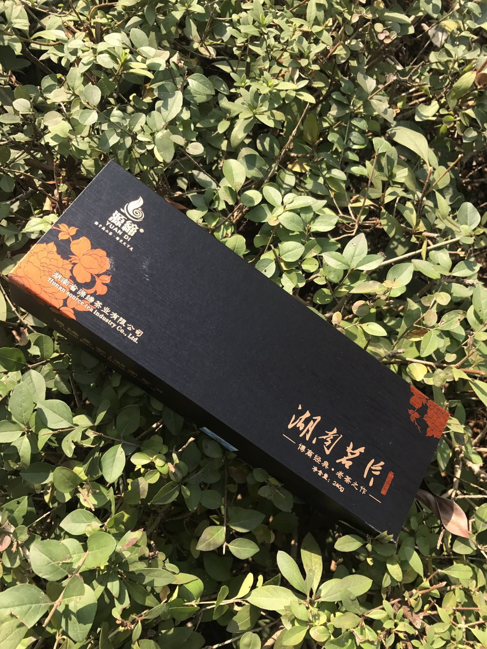 源缔黑茶 湖南茗片 优质奖产品 250g/条