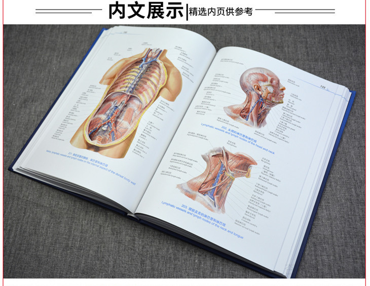 人体解剖彩色学图谱 郭光文王序人民卫生出版社 正版包邮
