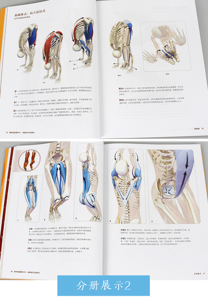 精准瑜伽解剖书1 2流瑜伽及站姿体式瑜伽解剖学瑜伽书籍 全两册正版