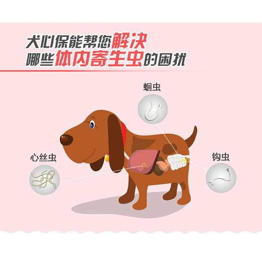 犬心保狗狗体内驱虫一盒六粒