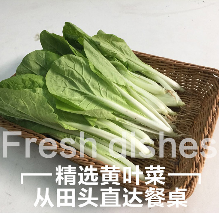 【预售】广东黄叶菜 约300g