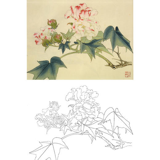 俞致贞工笔花鸟白描底稿芙蓉花木芙蓉斗方小品册页jv47