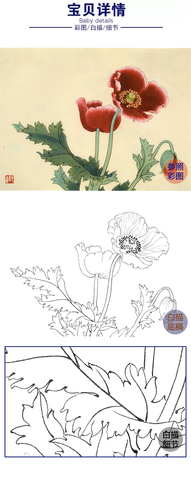 俞致贞工笔花鸟白描底稿花卉罂粟花斗方小品册页jv57