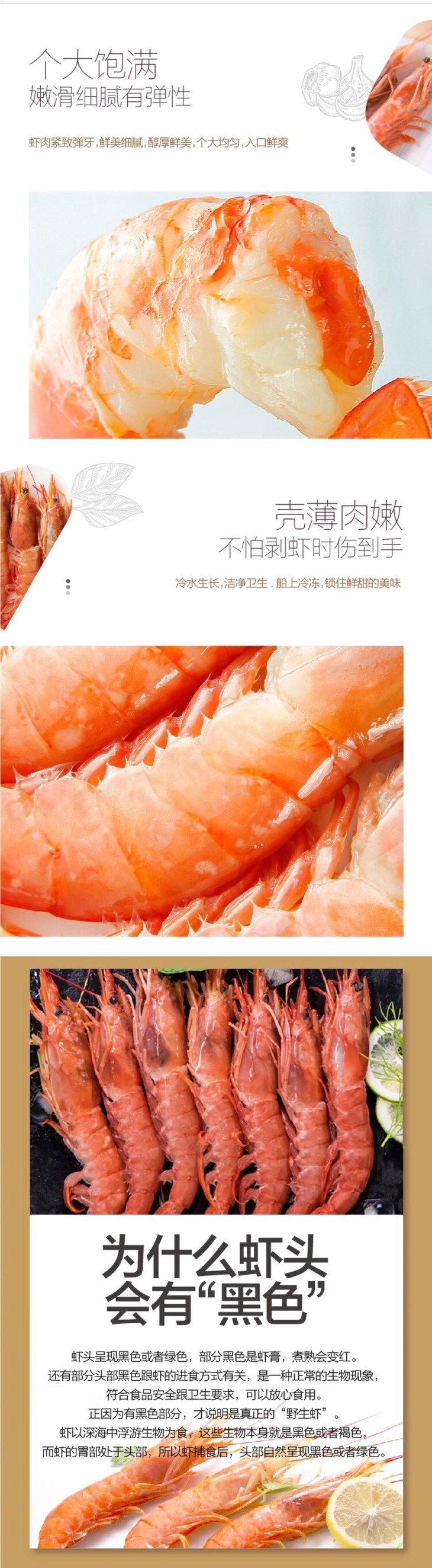 阿根廷深海红虾l1
