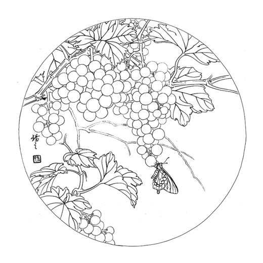 ts54高清工笔画白描底稿国画花鸟葡萄入门底稿初学者临摹练习素材