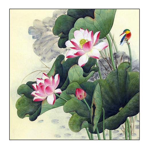 df154高清工笔画荷花白描底稿初学者国画花鸟入门临摹