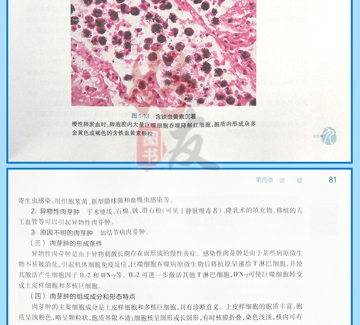 病理学第九9版步宏李一雷主编本科临床西医教材第九轮教材人民卫生