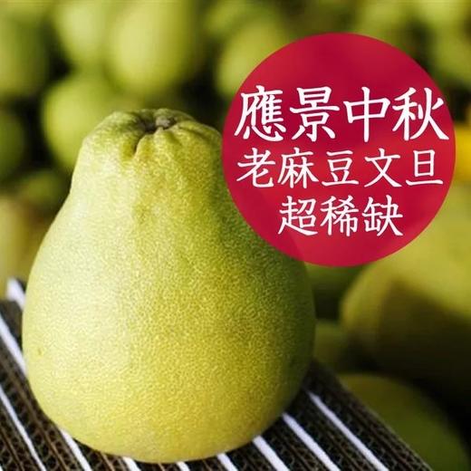 【台湾老树麻豆文旦】一箱12斤 9-13个 50年老树