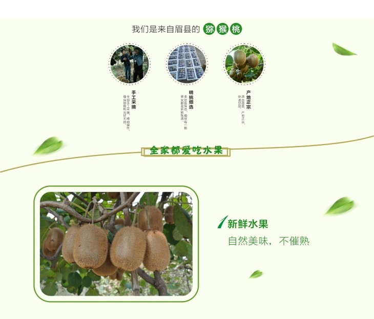 太白山野生猕猴桃十斤装