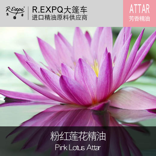 印度attar粉红莲花精油pink lotus attar古法阿塔低温