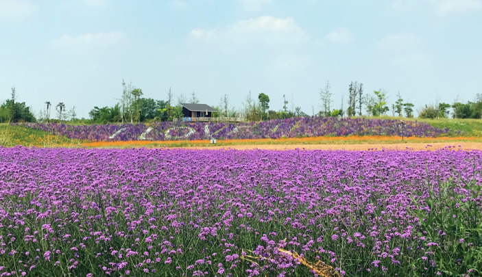 景区位于四川省成都市龙泉驿区同安街道花海路8号, 以都市